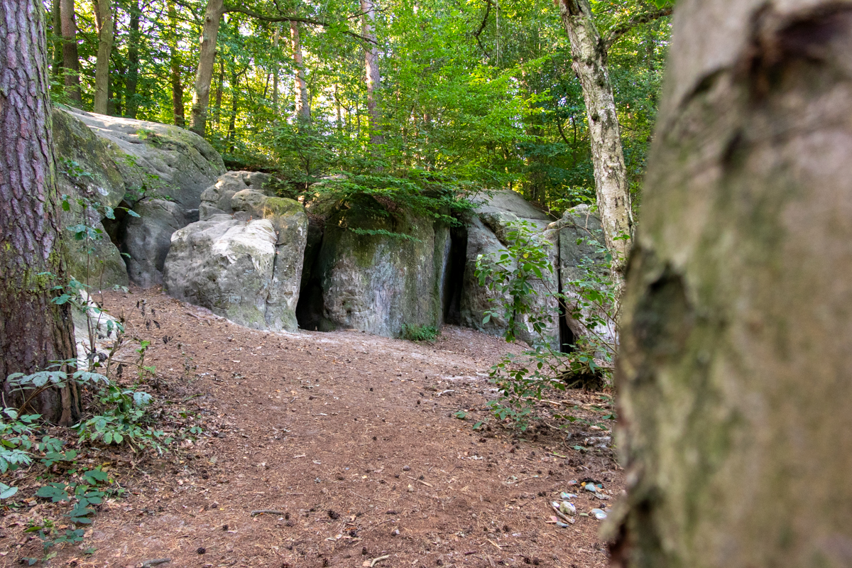 Wolfsburg, Drei Steine, Wald, Grün, Fotografie, Stadt, Bildband